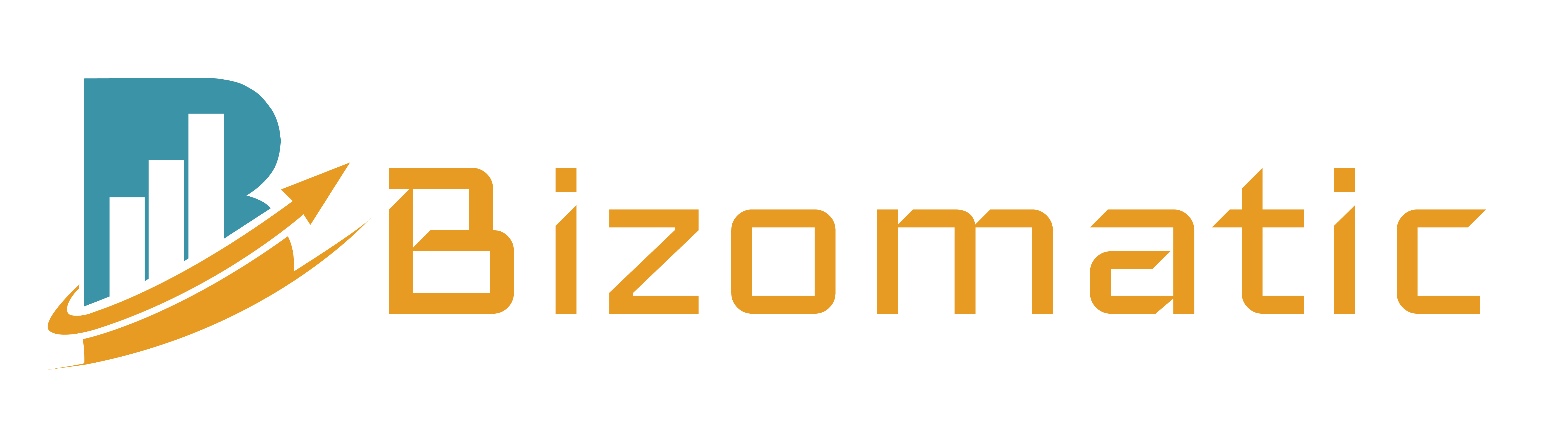 Website Logo